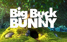 Big Buck Bunny