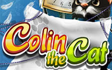 Colin the Cat