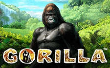 Gorilla slot