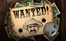 Wanted