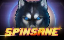 Spinsane